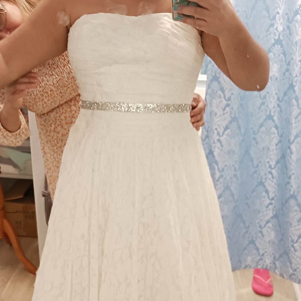 Wedding Dress - Picture 3 of 17